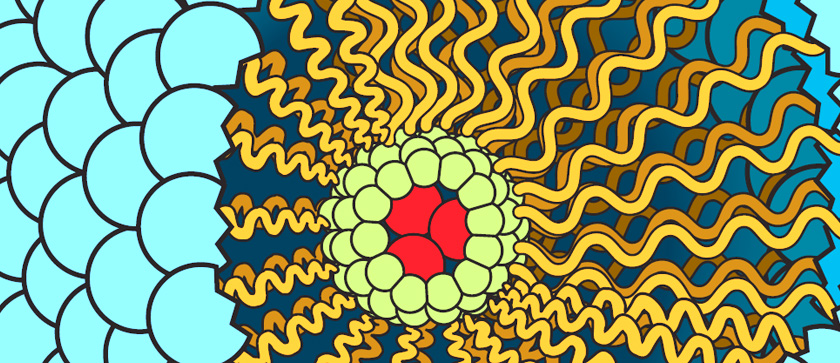 drug molecules sit within a micelle for targeted delivery