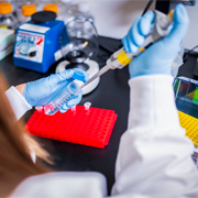 a scientist pipettes liquid into a test tube