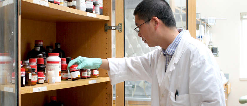 A scientist hunts for a compound in a lab cabinet