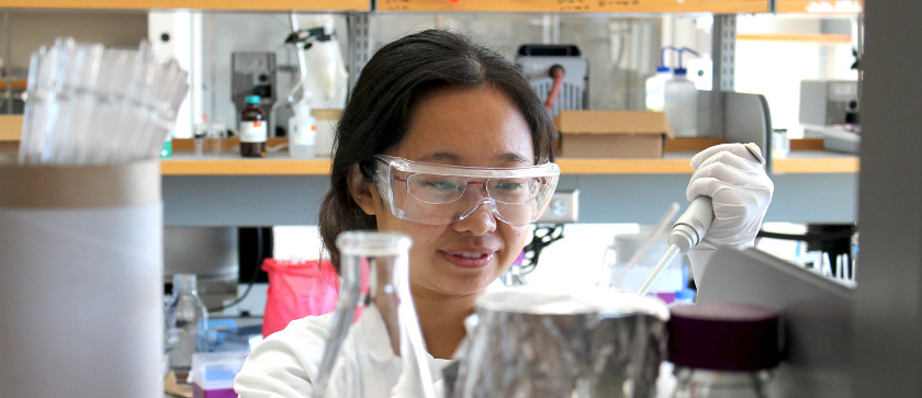 A scientist pipettes a sample into a flask