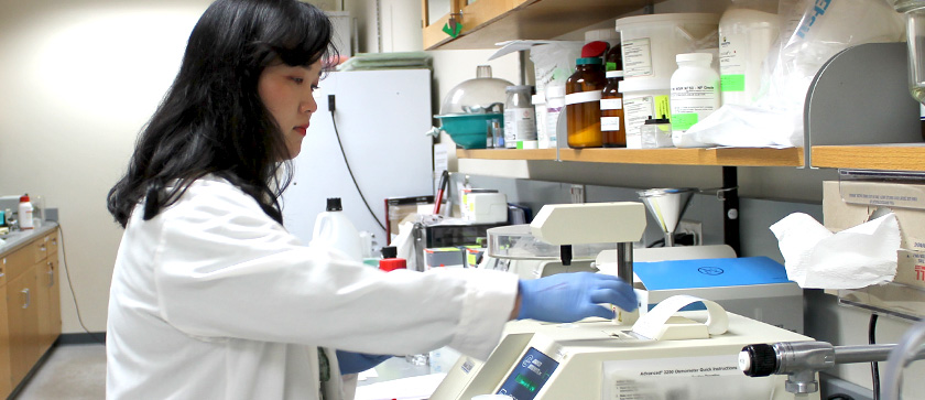 A scientist looks at a sample reading in the lab