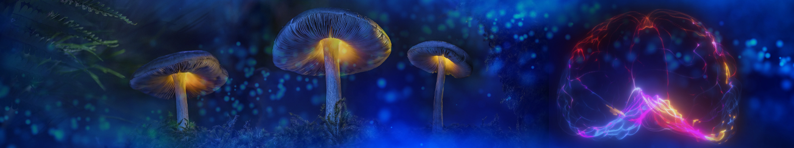 Mushrooms glow in a dark field, emitting particles that float towards a neon brain