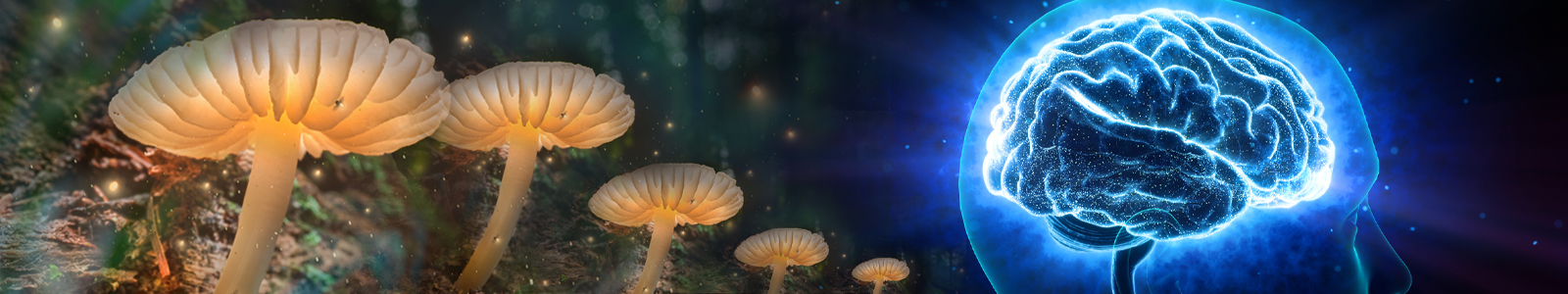 Glowing mushrooms release psilocybin to a brain