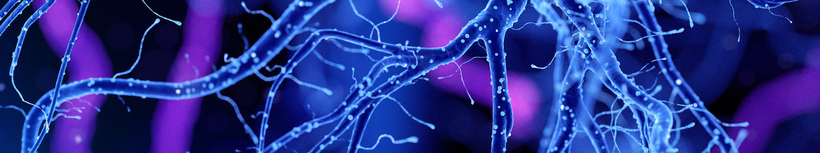 Glowing blue neuron dendrites extend out into space