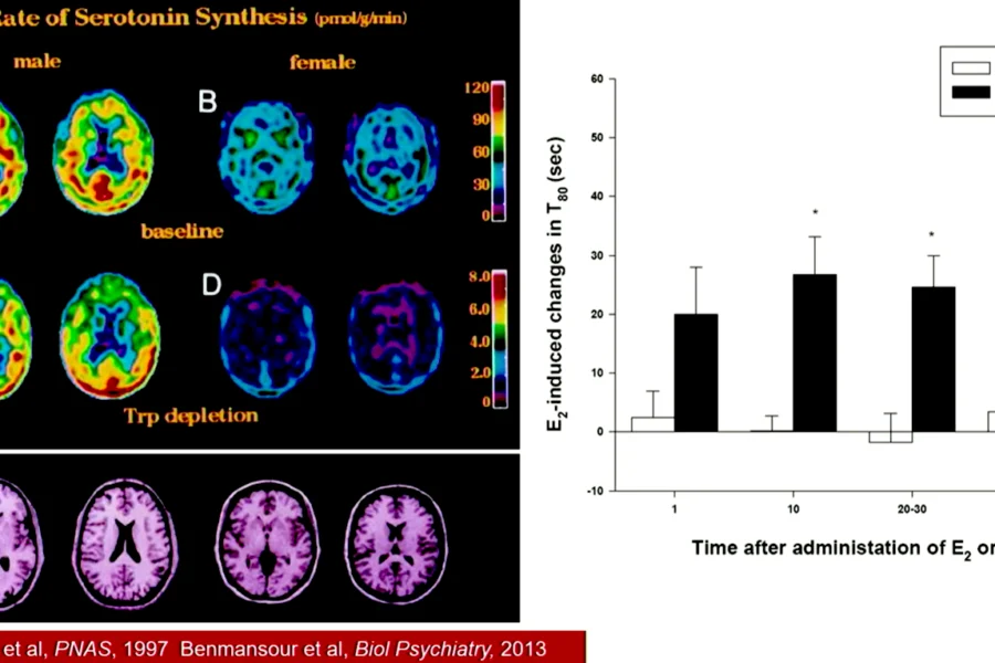 serotonin synthesis comparison in males vs. females