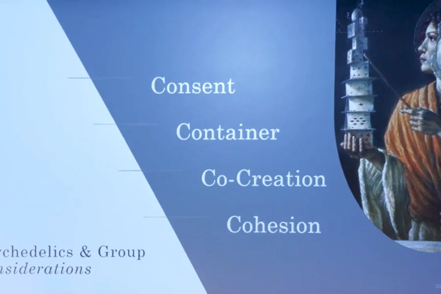 Stauffer presentation slide showing 4 considerations for running psychedelic groups
