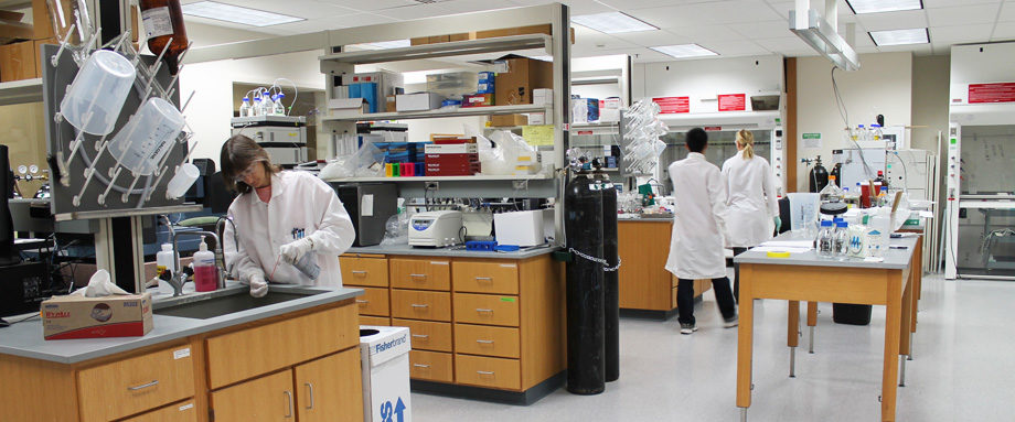 Students working in the Z station lab